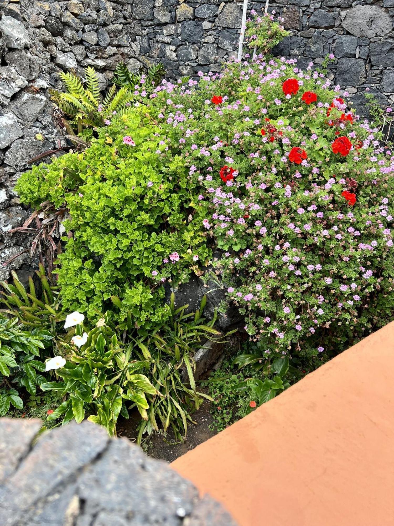 Cozy Rural House Las Guindas, El Hierro Erese 外观 照片